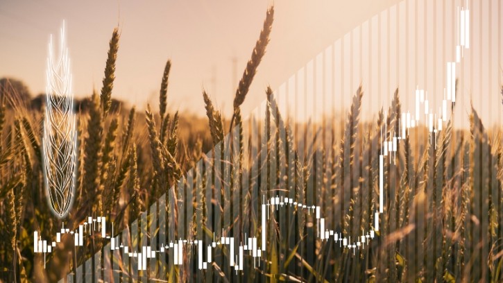 Get Real-Time Crop Pricing